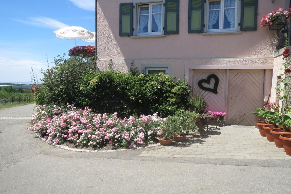 Gaestehaus Frohe Aussicht Kressbronn am Bodensee Exterior foto